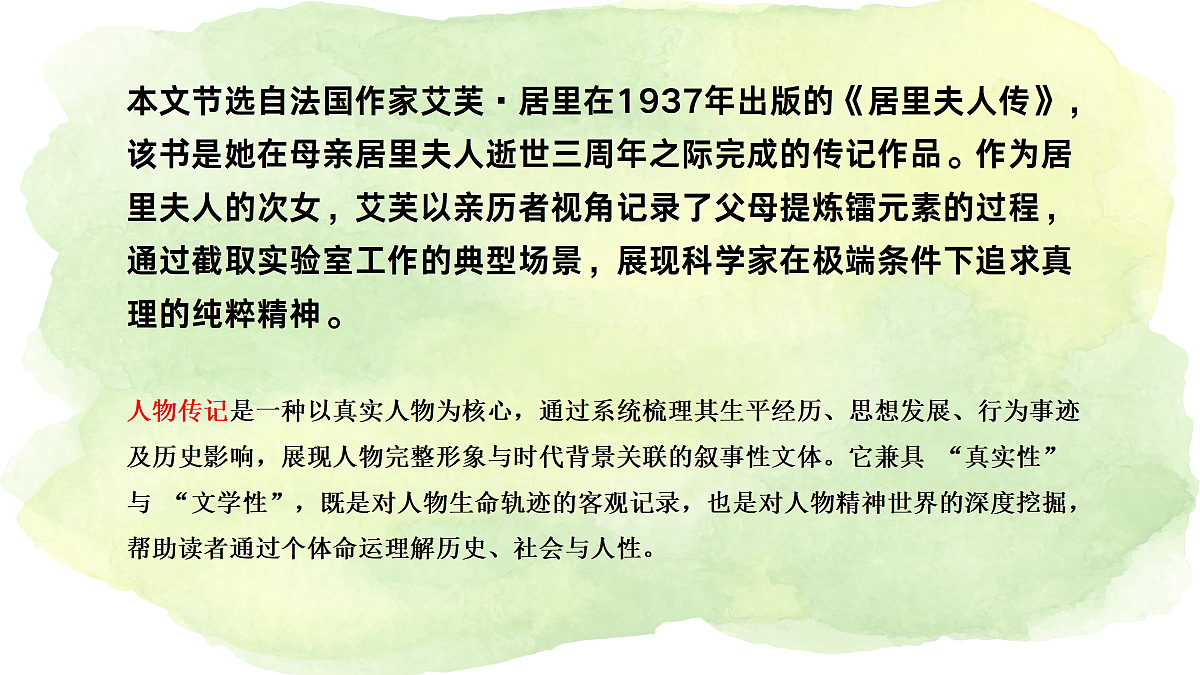 17377751第5页