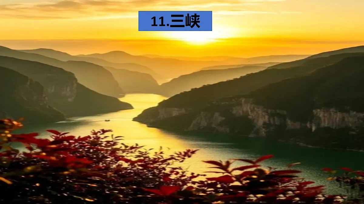 17377755第4页