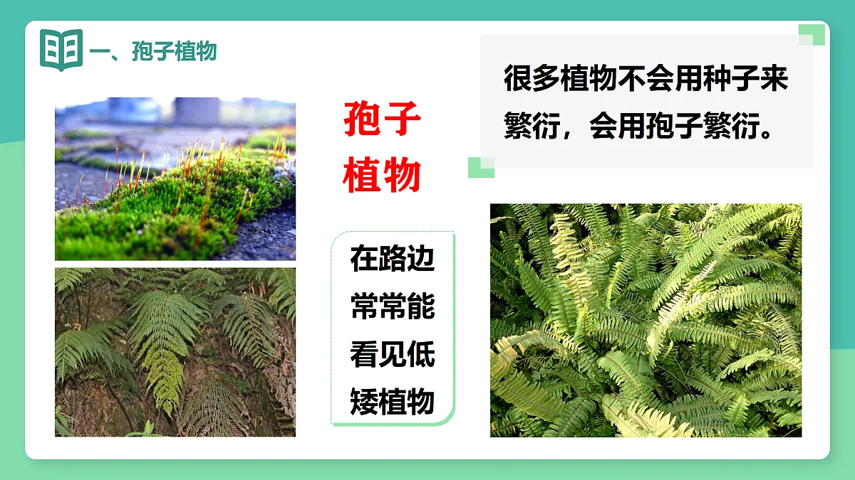 17378306第2页