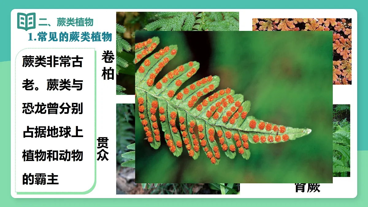 17378306第4页