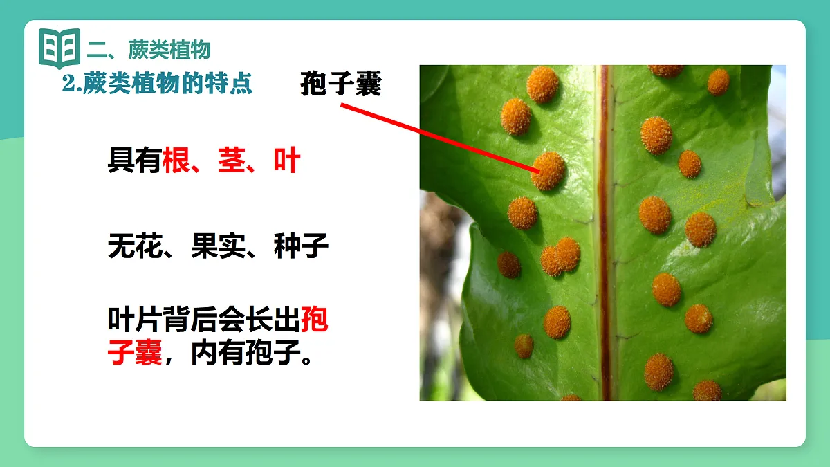 17378306第5页