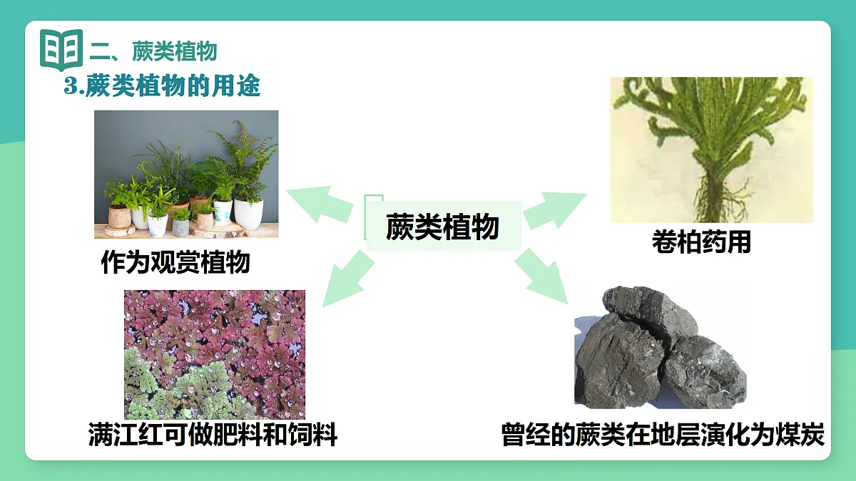 17378306第6页