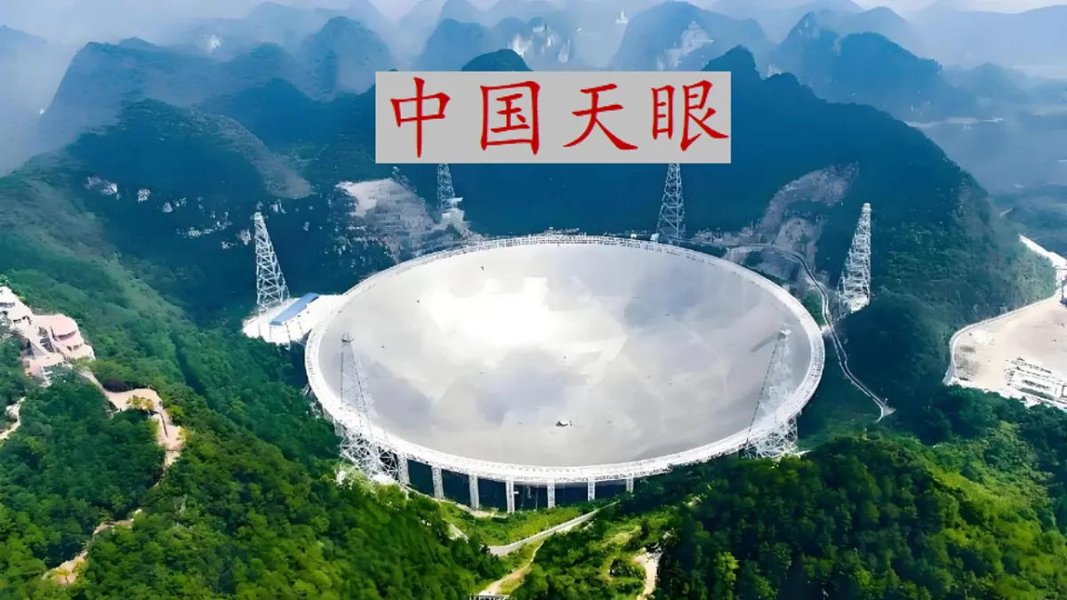 17378679第2页