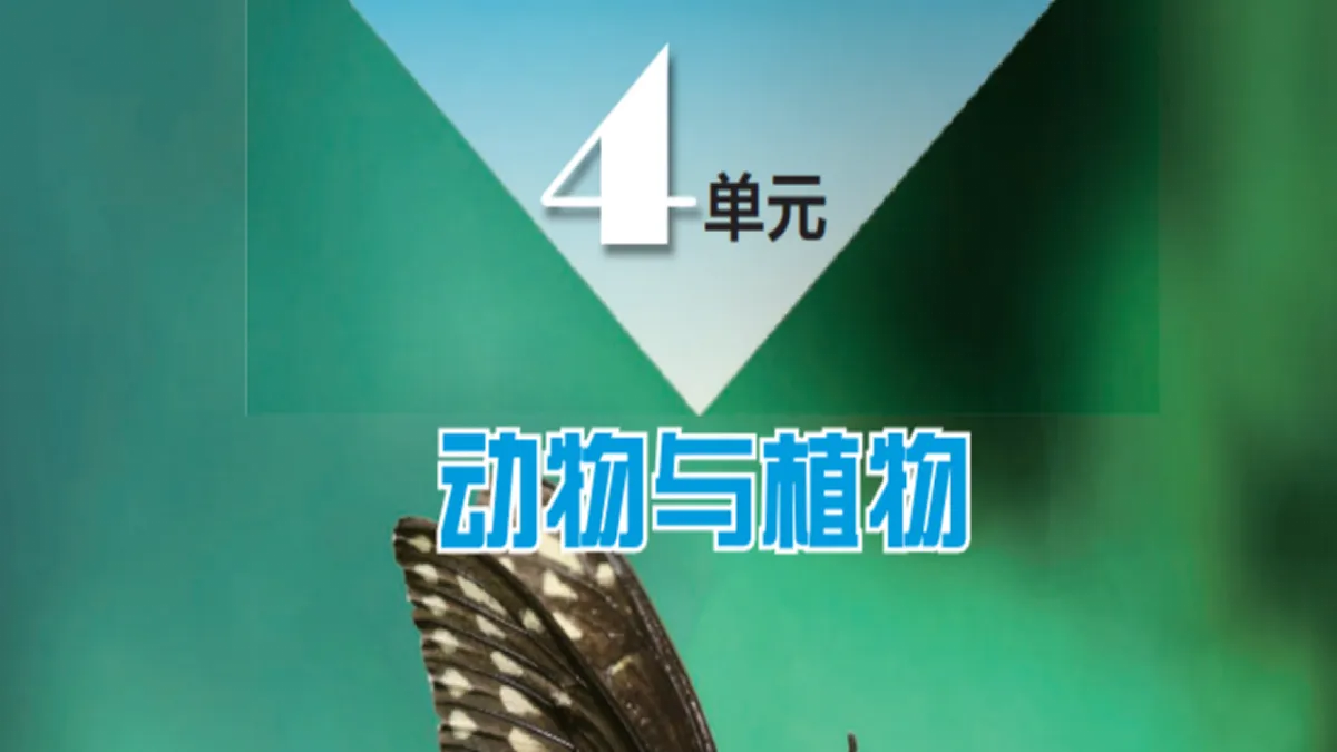 17378913第2页