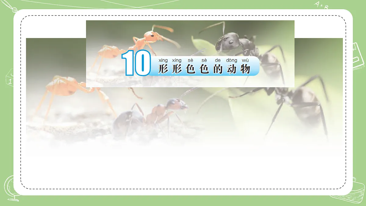 17378913第3页