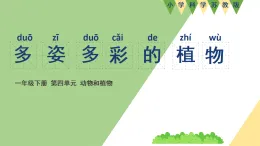 新蘇教版一年級(jí)科學(xué)下冊(cè) 十一、多姿多彩的植物（課件）