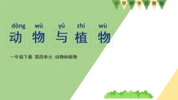 新蘇教版一年級(jí)科學(xué)下冊(cè) 十二、動(dòng)物與植物（課件）