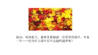 初中生物北师大版（2024）八年级上册（2024）微生物的特点和主要类型教学演示课件ppt