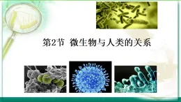 初中  生物  北师大版（2024）  八年级上册5.12.2 微生物与人类的关系 课件