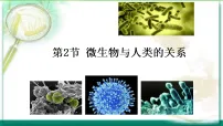 初中生物北师大版(2024)八年级上册(2024)微生物与人类的关系说课课件ppt