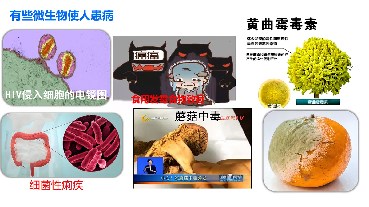 17379350第3页