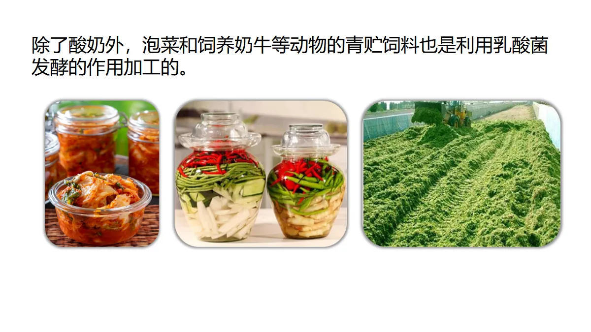 17379350第7页