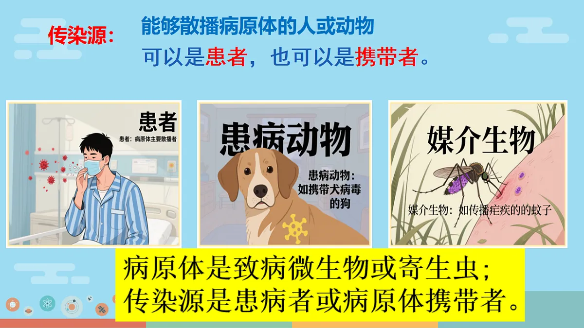 17379385第5页