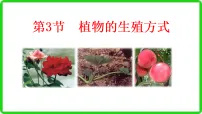 北师大版（2024）八年级上册（2024）植物的生殖方式集体备课课件ppt