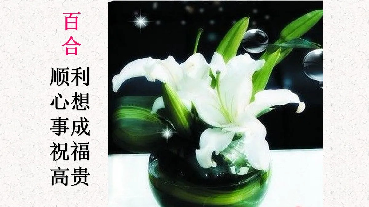 17380177第3页