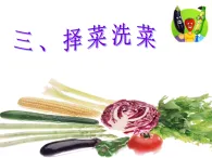 魯科版綜合實(shí)踐活動(dòng)三上4.3擇菜洗菜 課件