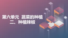 魯科版綜合實(shí)踐活動(dòng)三上5.2種植辣椒 課件