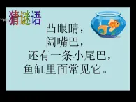 魯科版綜合實(shí)踐活動(dòng)三上1.3快樂的小魚兒 課件