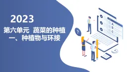 魯科版綜合實(shí)踐活動(dòng)三上5.1種植物與環(huán)境 課件