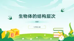 浙教版2024科學七年級上冊1.1生物體的結構層次四 課件