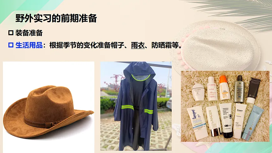17383428第7页