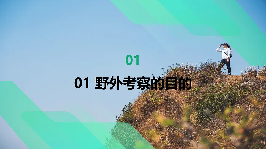 17383428第8页
