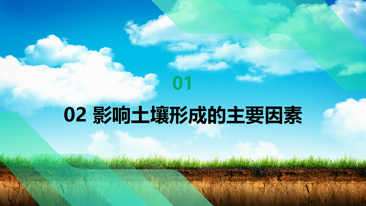 17383433第7页