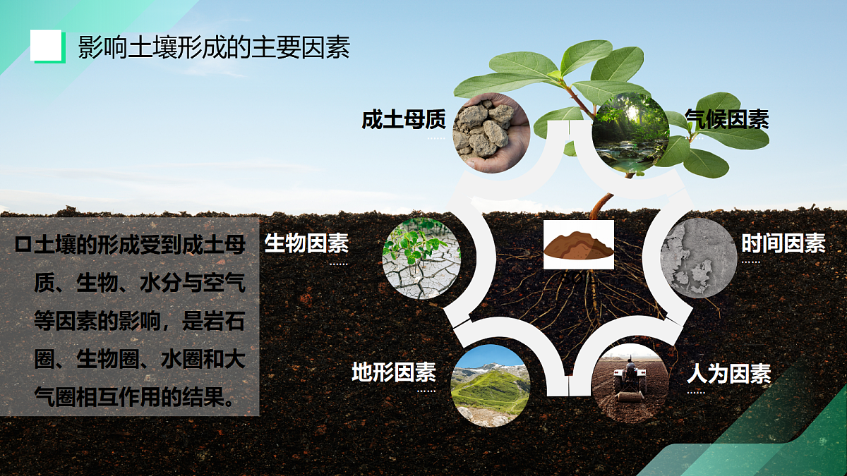 17383433第8页