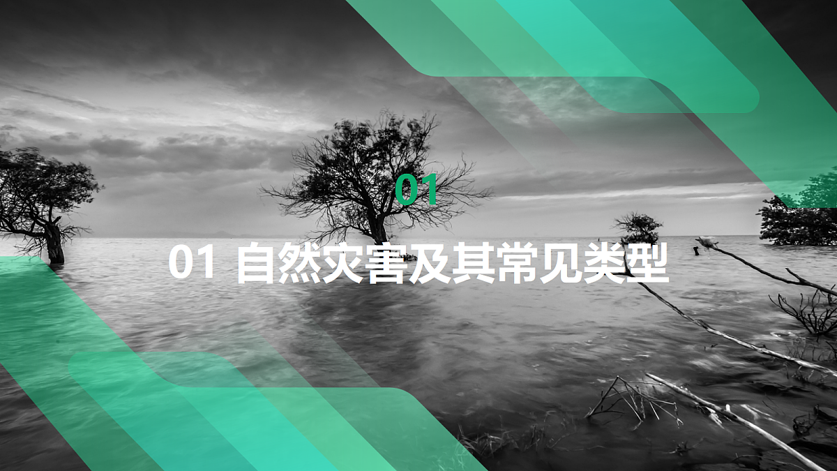 17383435第6页