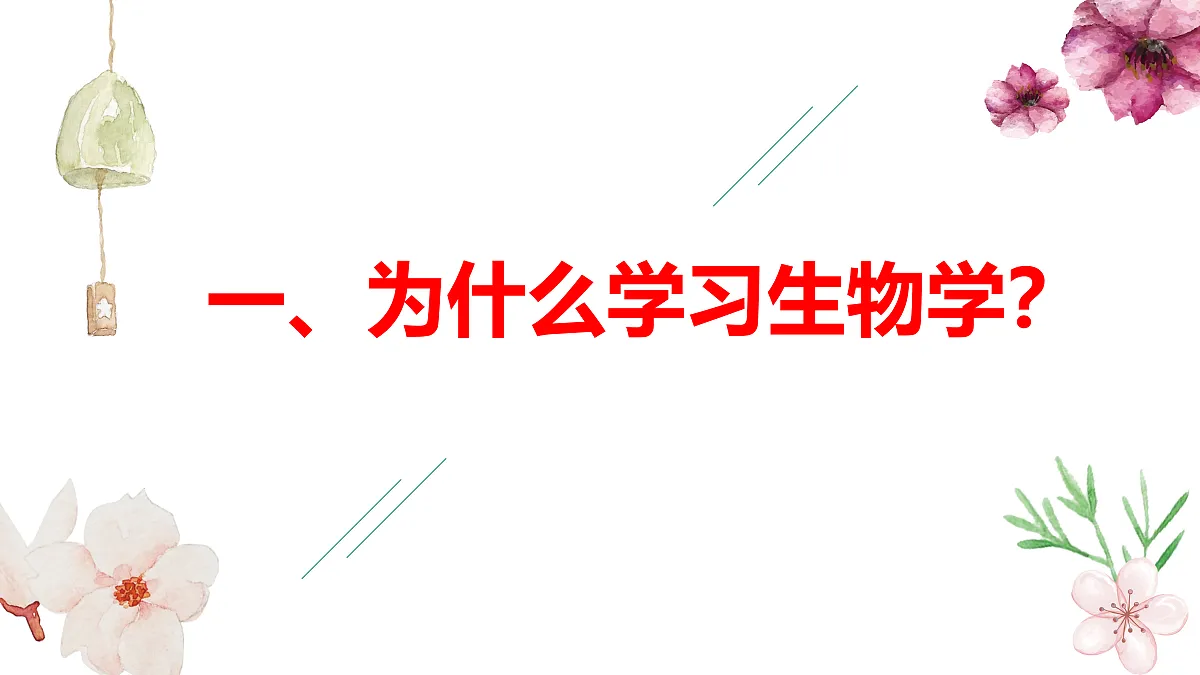 17383442第5页