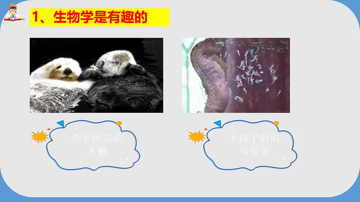 17383442第6页
