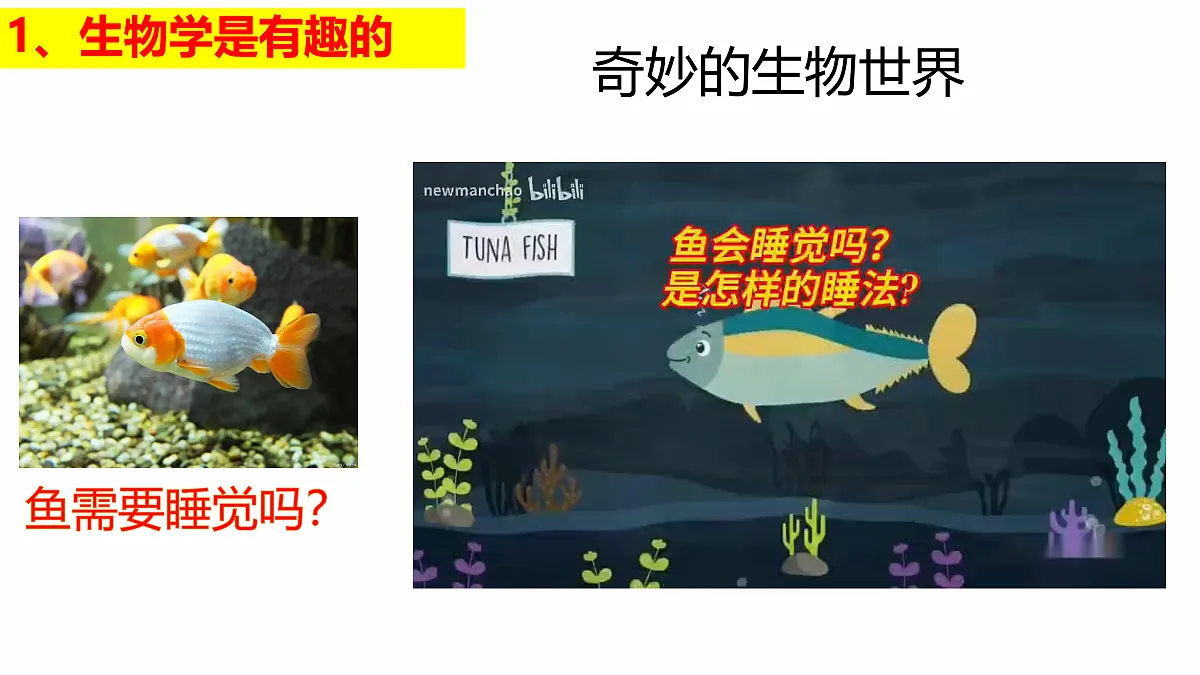 17383442第7页