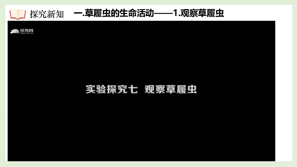17383445第7页