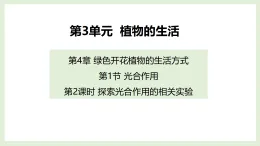 4.1 光合作用 第2課時 課件生物北師大版（2024）七年級上冊