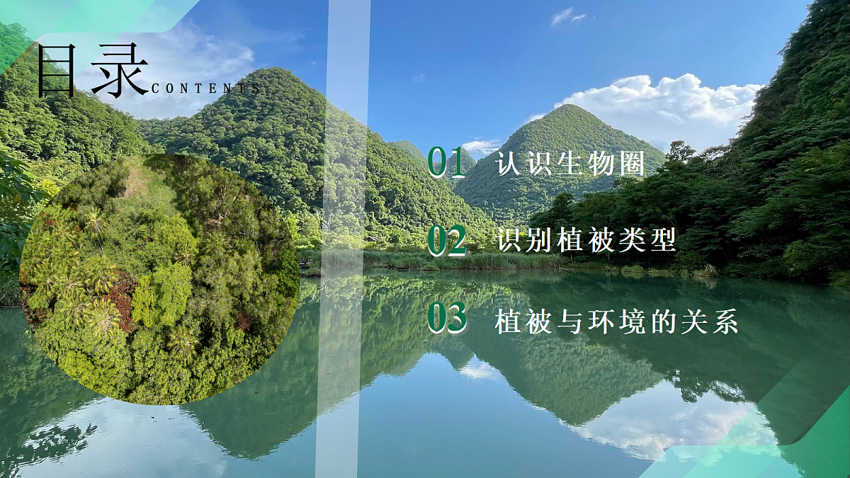 17383976第5页