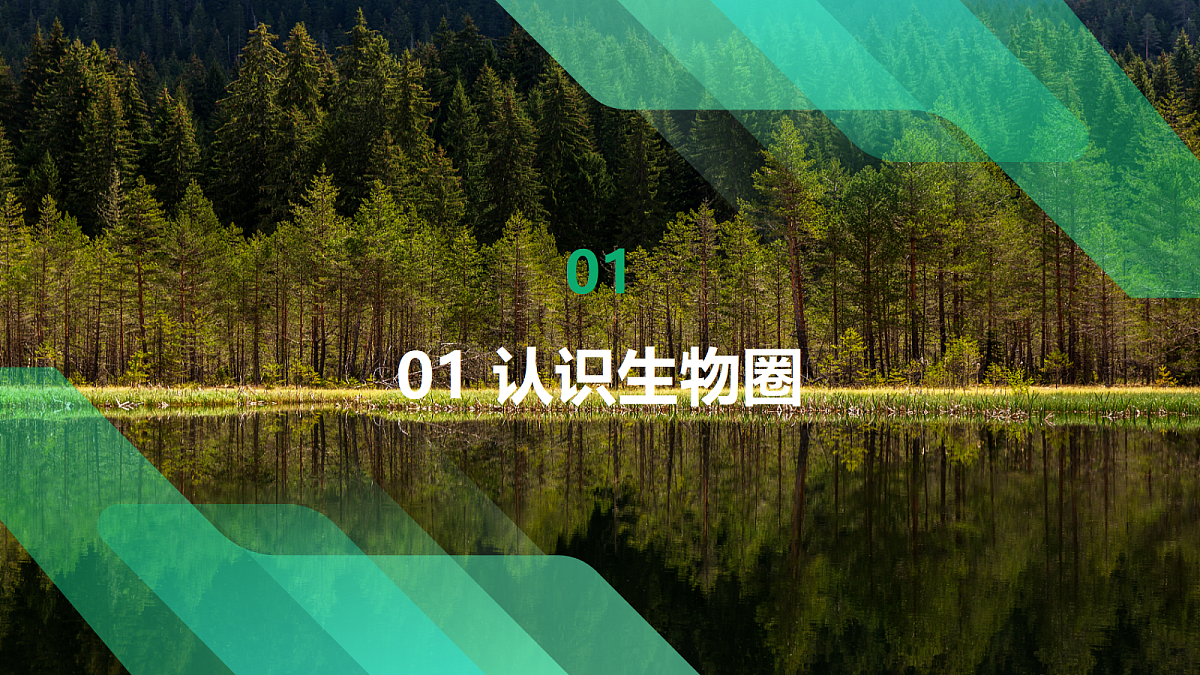 17383976第6页