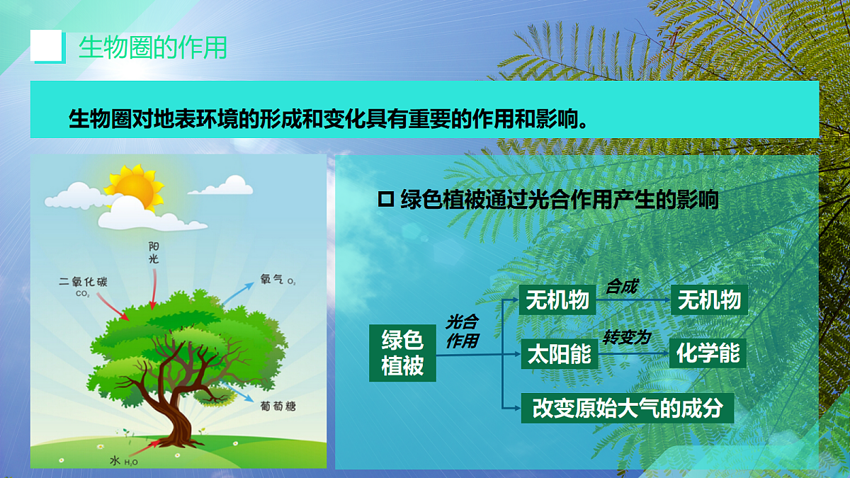 17383976第8页