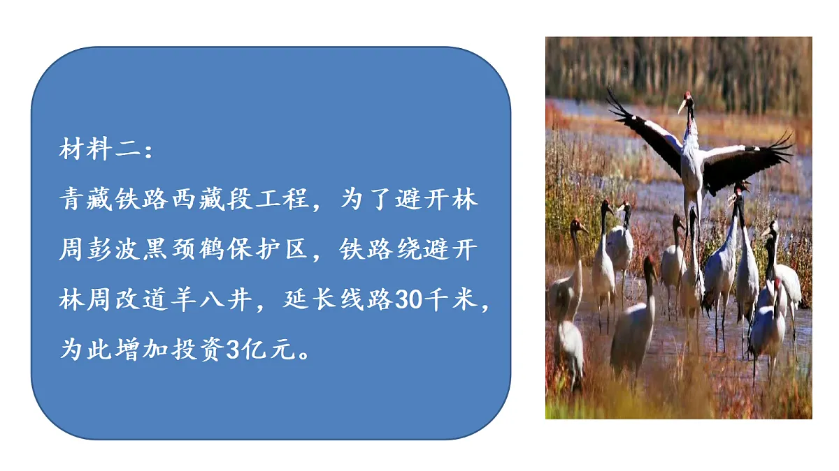 17384661第8页