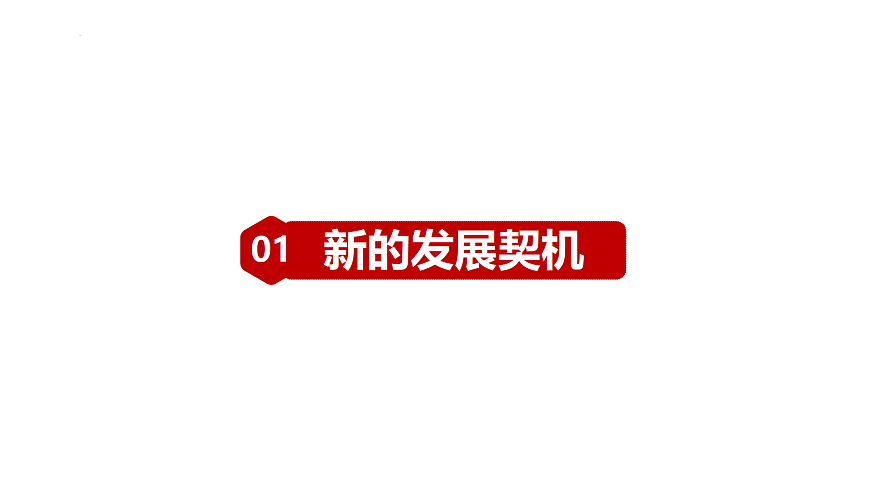 17384715第3页