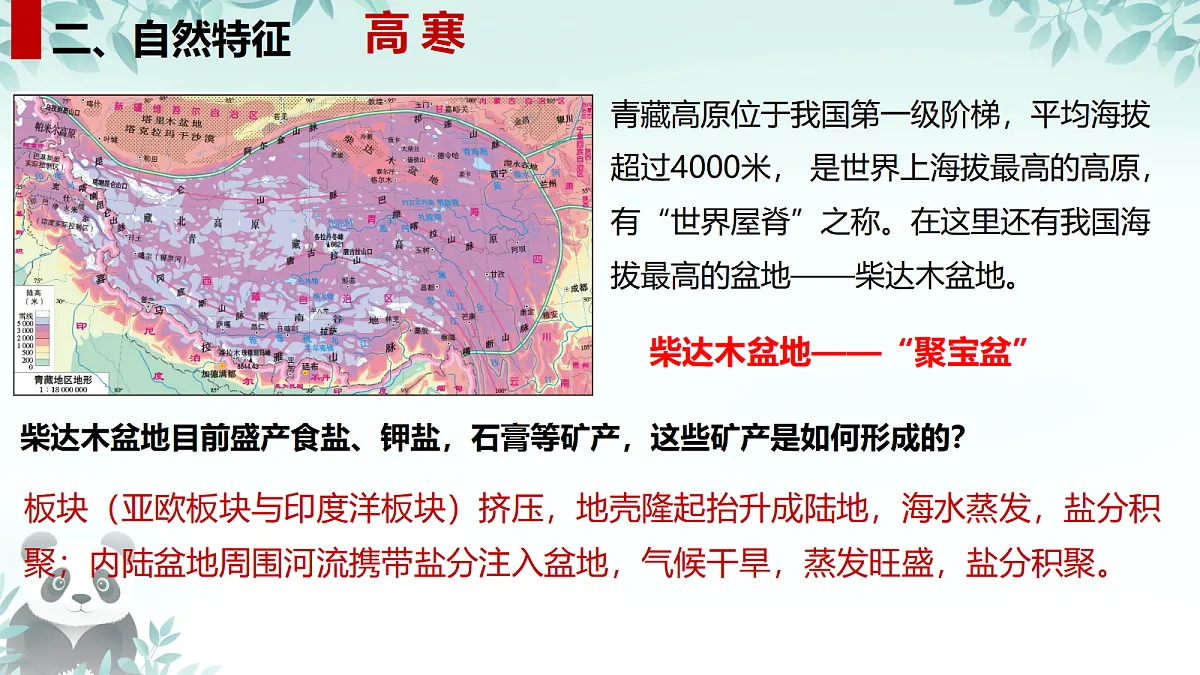 17384776第3页