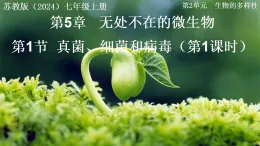 2.5.1 真菌、細菌和病毒 第1課時（教學課件）-2025-2026學年七年級生物上冊（蘇教版2024）