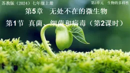 2.5.1 真菌、細菌和病毒 第2課時（教學課件）-2025-2026學年七年級生物上冊（蘇教版2024）