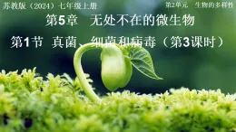 2.5.1 真菌、細菌和病毒 第3課時（教學課件）-2025-2026學年七年級生物上冊（蘇教版2024）