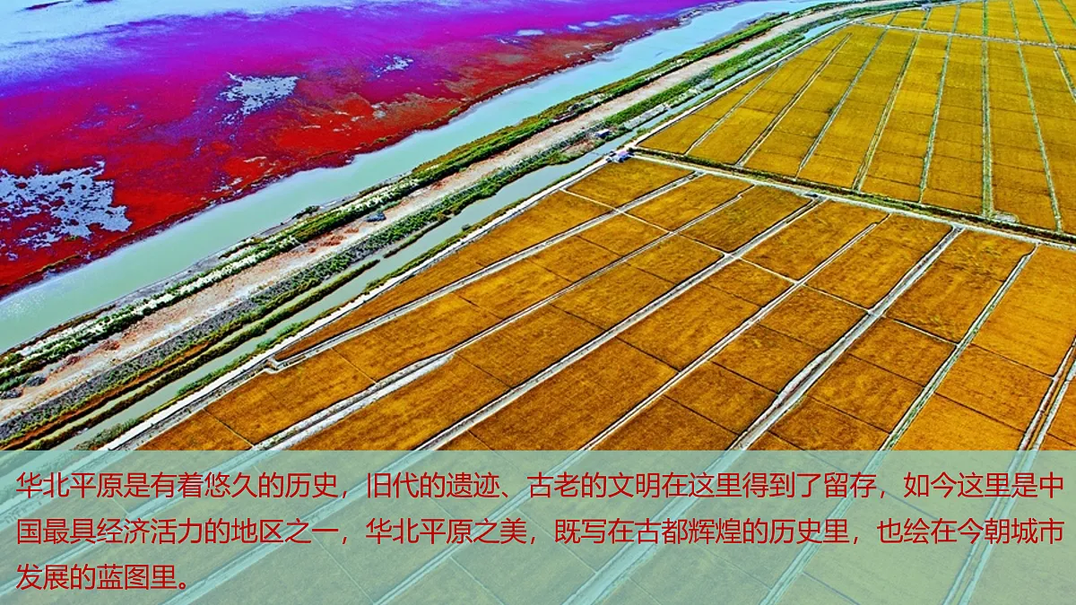 17385003第5页