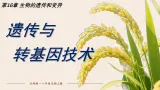 16.5 遗传与转基因技术(课件)2025-2026学年北师大生物八年级上册