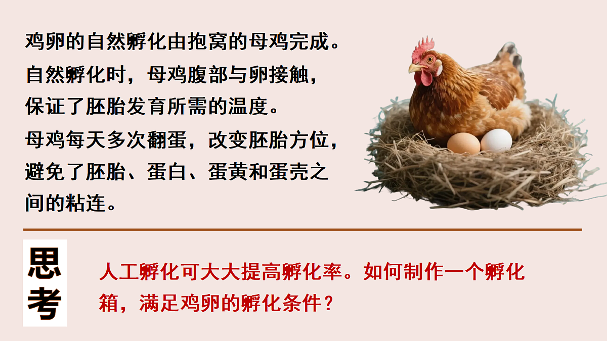 17386136第2页