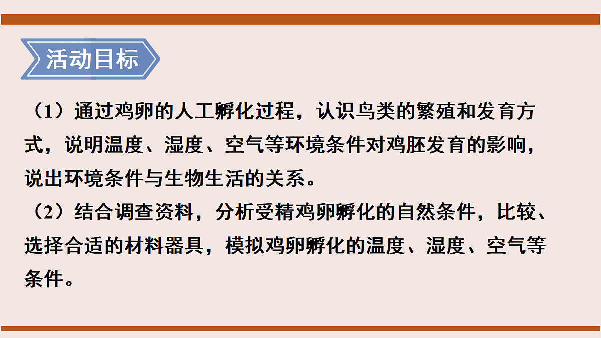 17386136第3页