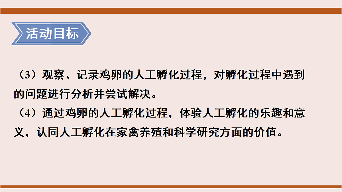 17386136第4页