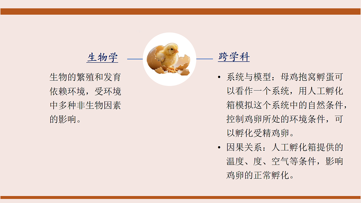 17386136第5页