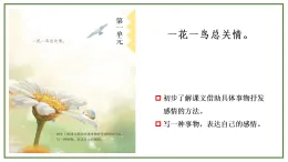 第1課《白鷺》課件  2025-2026學年五年級語文上冊 統(tǒng)編版